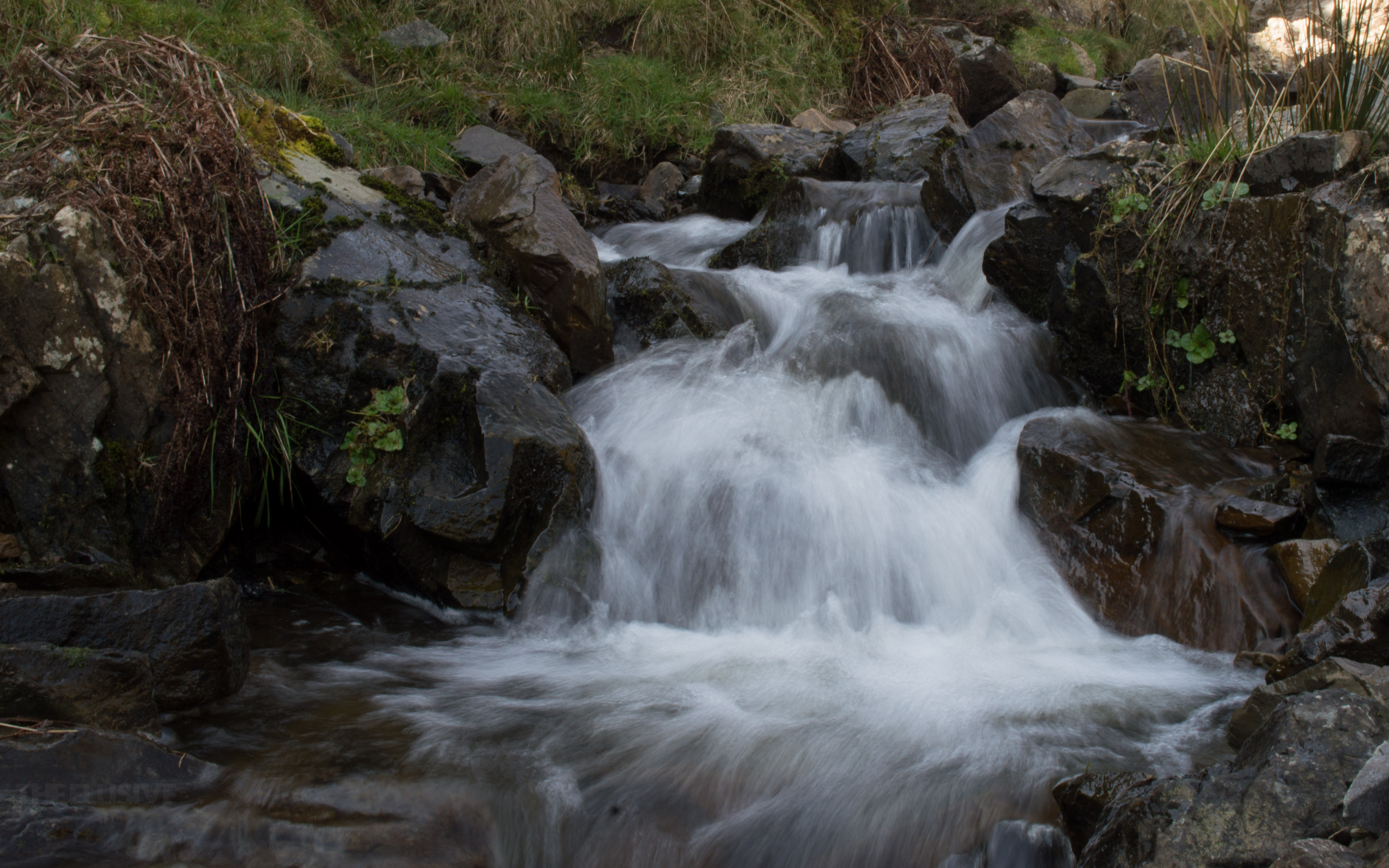 cardingmill valley waterfall (51 of 218)